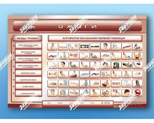 Трехсекционный базовый комплект "Травмы. Кровотечения. Ожоги" для учащихся общеобразовательных учреждений