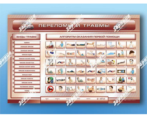 Трехсекционный базовый комплект "Травмы. Кровотечения. Ожоги" для учащихся общеобразовательных учреждений