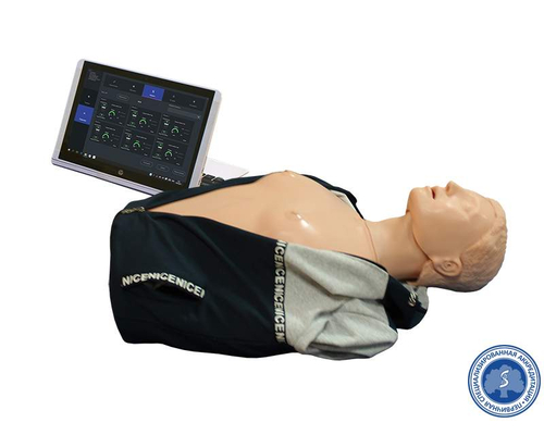 Тренажер для обучения навыкам сердечно-легочной реанимации "Александра-1.01 Т"