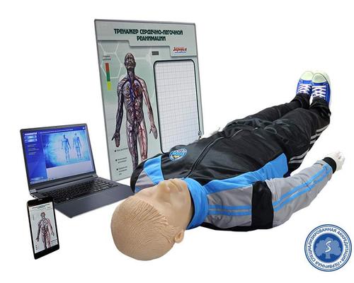 Тренажер для обучения навыкам сердечно-легочной реанимации "Олег-1.03" с персональным компьютером (ноутбуком) Тренажер для обучения навыкам сердечно-легочной реанимации "Олег-1.03" с персональным компьютером (ноутбуком)