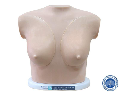 Тренажер для пальпации молочных желез и лимфатических узлов