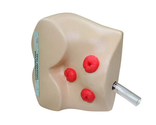 Тренажер для постановки клизм, внутримышечных инъекций и обработки стом