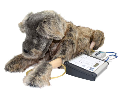 Тренажер для проведения сердечно-легочной реанимации у собак