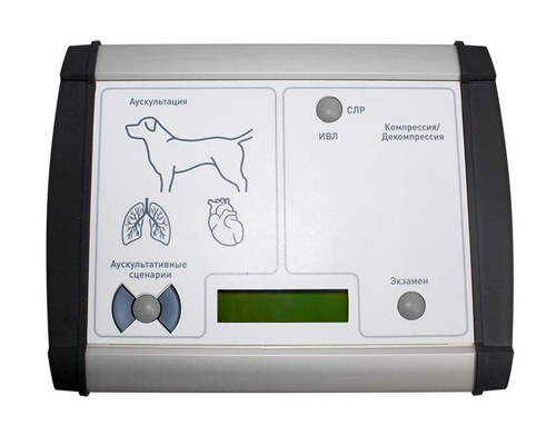 Тренажер для проведения сердечно-легочной реанимации у собак