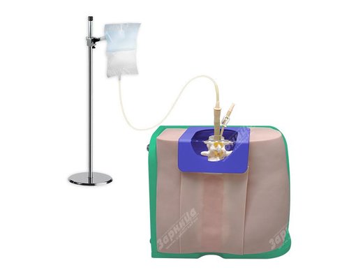 Тренажер люмбальной пункции