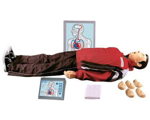 Тренажер «Максим III-01» Тренажер «Максим III-01»