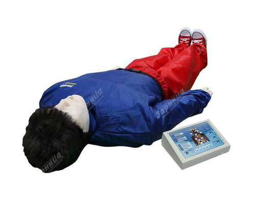 Тренажер-манекен взрослого пострадавшего "Александр-1-0.2" (голова, туловище, конечности) для отработки приемов сердечно-легочной реанимации (с контроллером)