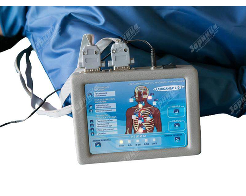 Тренажер-манекен взрослого пострадавшего "Александр-1-0.1" (голова, туловище, конечности) для отработки приемов сердечно-легочной реанимации (настенное табло + контроллер + тестовые режимы)