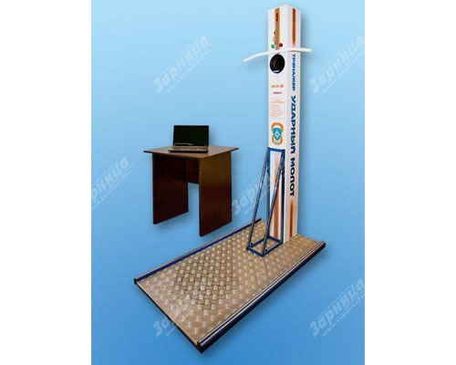 Тренажер силовой подготовки "Багор-Молот"