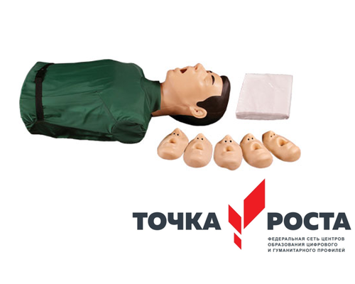 Тренажёр-манекен для отработки приемов удаления инородного тела из верхних дыхательных путей