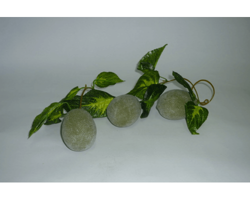 Ветка муляжей "Киви"