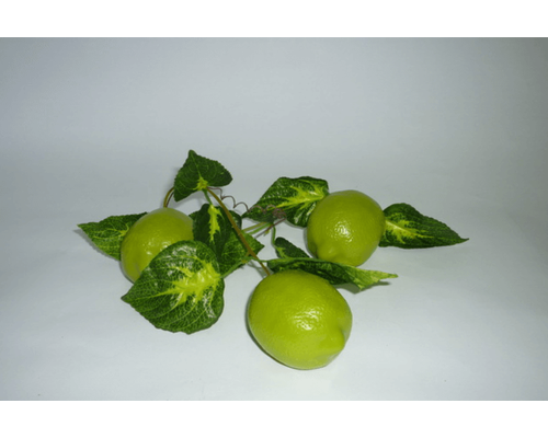 Ветка муляжей "Лайм"