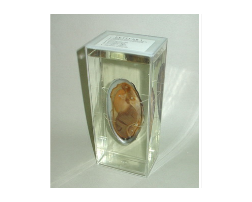 Влажный препарат "Беззубка"