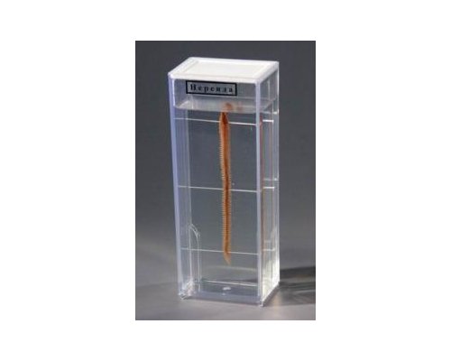 Влажный препарат "Нереида"