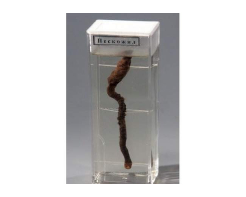 Влажный препарат "Пескожил"