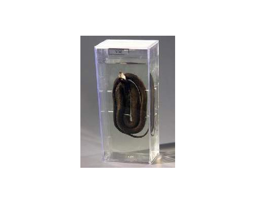 Влажный препарат "Уж"