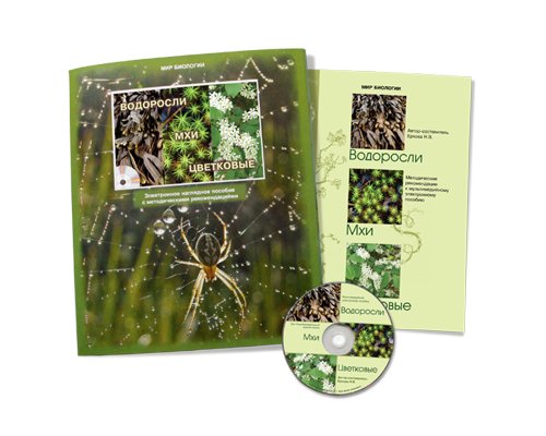 Водоросли. Мхи. Цветковые