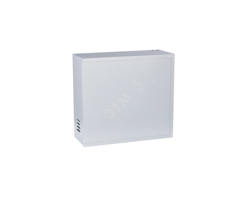 Шкаф настенный антивандальный пенальный 2U 500х550х150