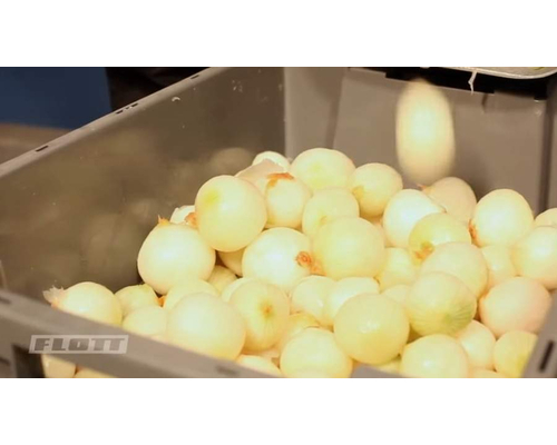 Лукочистка Flott ZS3